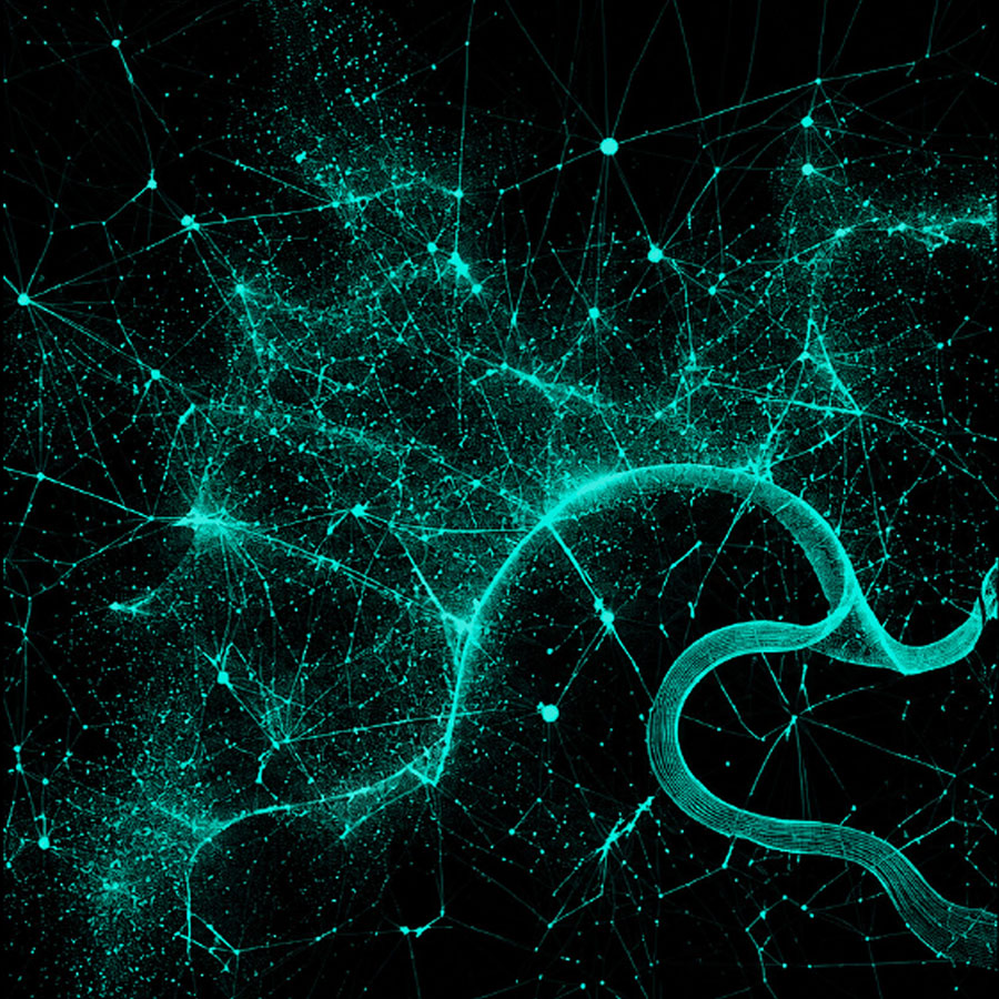 Glowing network map of hyperlocal air-quality sensors across a city.